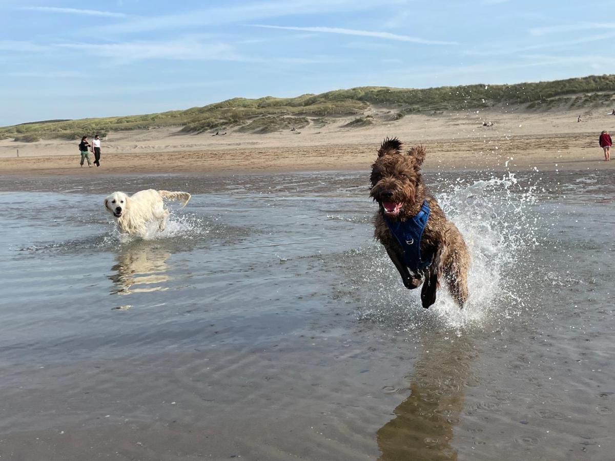 ZeeBedStay Noordwijk Buitenkant foto