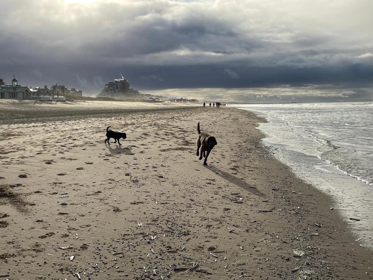 ZeeBedStay Noordwijk Buitenkant foto