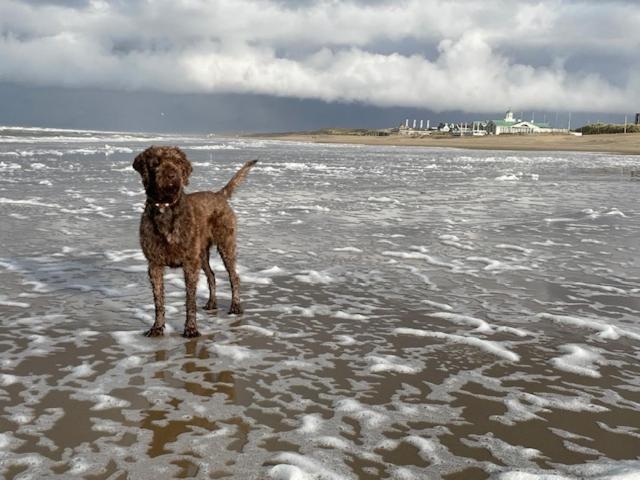 ZeeBedStay Noordwijk Buitenkant foto