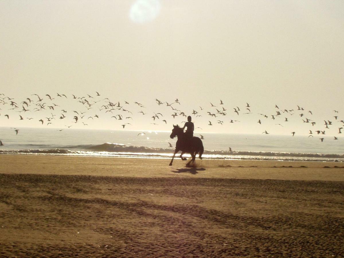 ZeeBedStay Noordwijk Buitenkant foto