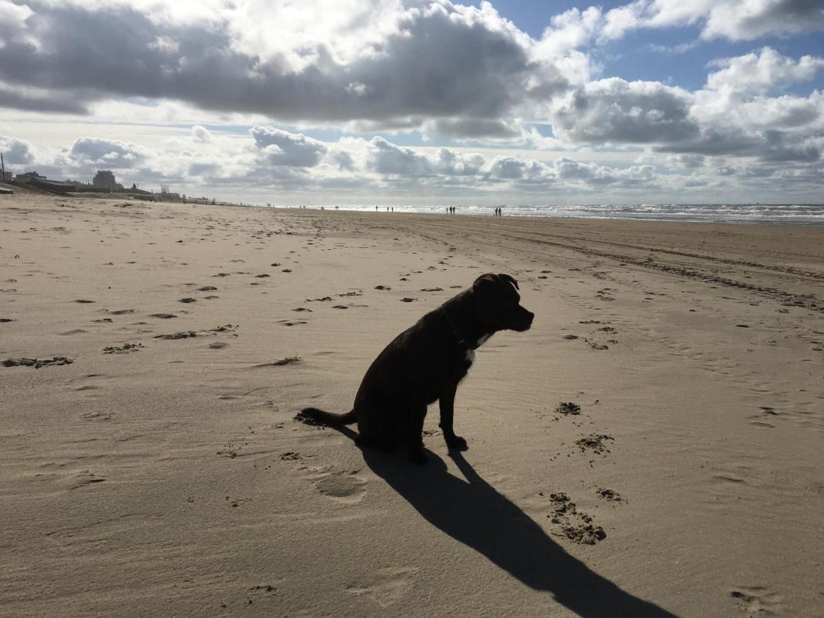ZeeBedStay Noordwijk Buitenkant foto